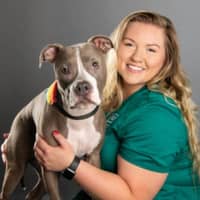 Alyssa S.'s profile image