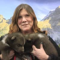 Sue K.'s profile image