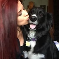 Molly B.'s profile image