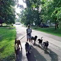 Jaclyn P.'s profile image