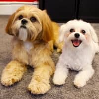 Diane B.'s profile image