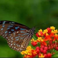 Deborah E.'s profile image