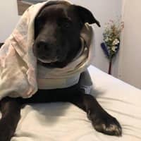 Donna T.'s profile image