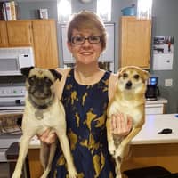 Lauren K.'s profile image