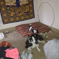 Ryan F.'s profile image
