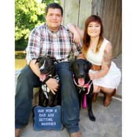 Sarah K.'s profile image