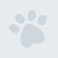 Marcus L.'s profile image