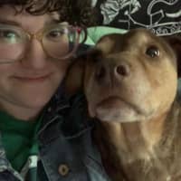 Brittany K.'s profile image