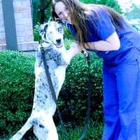 Nathalie N.'s profile image