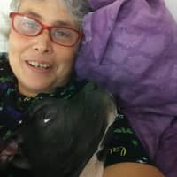 Katherine J.'s profile image