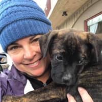Dina J.'s profile image