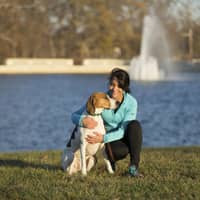 Sandy J.'s profile image