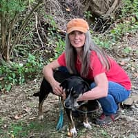 Celeste C.'s profile image
