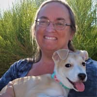 Cynthia S.'s profile image