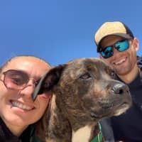 Adrianna & Nicholas T.'s profile image