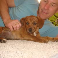 Harlan L.'s profile image