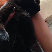 Winnifred H.'s profile image