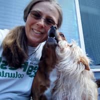 Annee V.'s profile image