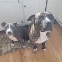 Nichole J.'s profile image