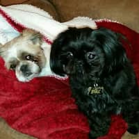 Lynnette M.'s profile image
