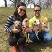 Abby O.'s profile image