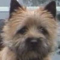 Paul V.'s profile image