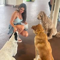Angie S.'s profile image