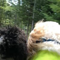 Pamela M.'s profile image