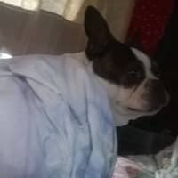 Terry E.'s profile image