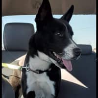 Pamela B.'s profile image