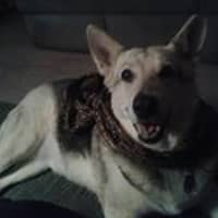 Barbara S.'s profile image