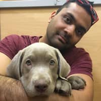 Rakesh P.'s profile image