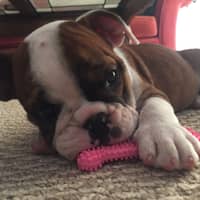 Stace W.'s profile image
