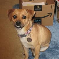 Margie J.'s profile image