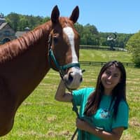 Rachel D.'s profile image