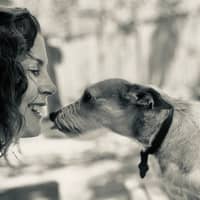 Carol K.'s profile image
