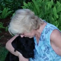 Denise & Tracy P.'s profile image