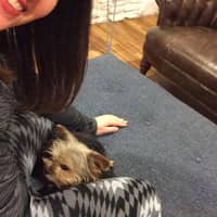 Kate H.'s profile image