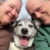 Cheryl S.'s profile image