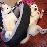 Tania D.'s profile image