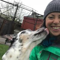 Liz V.'s profile image