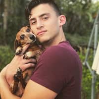 David J.'s profile image