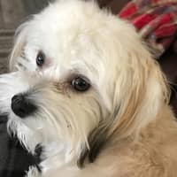 Suzanne M.'s profile image
