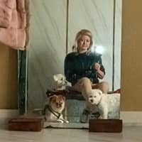 Khanh V.'s profile image