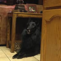 Shelley R.'s profile image