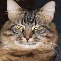 Elisabeth R.'s profile image