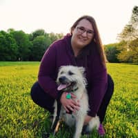 Amanda L.'s profile image