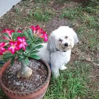 Barbara L.'s profile image