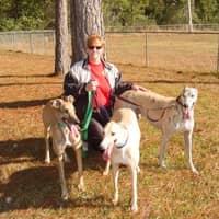 Liz B.'s profile image