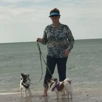 Zinaida A.'s profile image